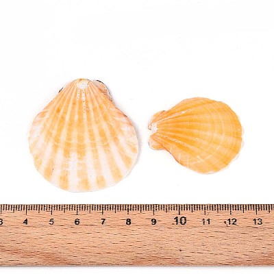 Natural Scallop Shell Beads SSHEL-N040-04-1