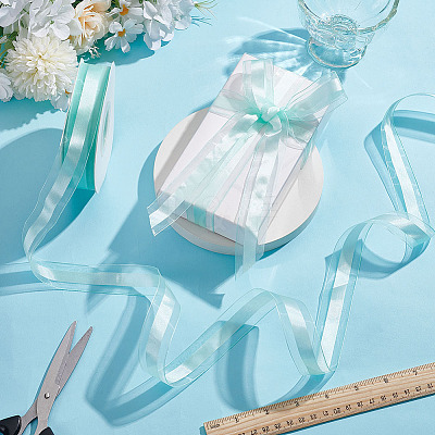 Polyester Organza Ribbons OCOR-HY0002-32A-1