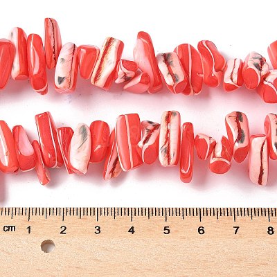 Dyed Natural Trochus Shell Beads Strands SSHEL-C013-09D-1