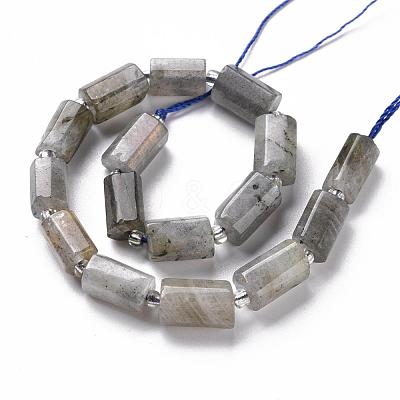 Natural Labradorite Beads Strands X-G-S345-8x11-001-1