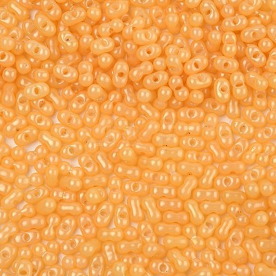 Baking Paint Glass Seed Beads SEED-L011-09A-04-1