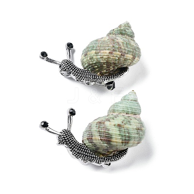 Snail Green Natural Conch Shell Fossil Brooch Pin JEWB-A020-01AS-01-1