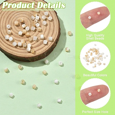 60Pcs 2 Colors Natural Trochid Shell/Trochus Shell Beads BSHE-YW0001-24-1