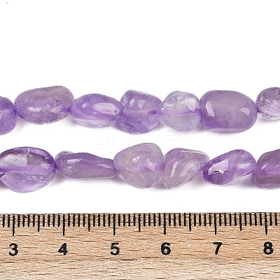 Natural Lavender Amethyst Beads Strands G-Q060-E16-1