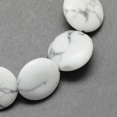 Flat Round Gemstone Natural Howlite Stone Beads Strands G-S110-21-1