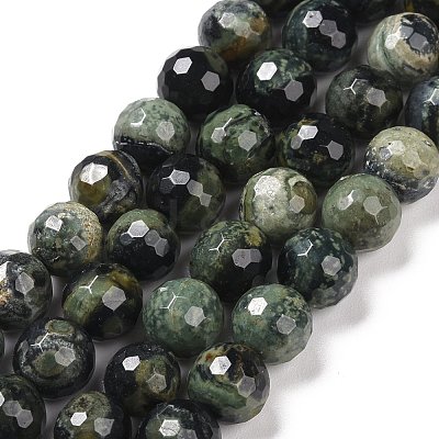 Natural Kambaba Jasper Beads Strands G-E571-04B-1