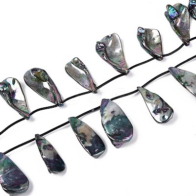 AB Color Plated Dyed Natural Freshwater Shell Beads Strands SHEL-T020-55B-1