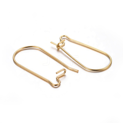 304 Stainless Steel Hoop Earring Findings STAS-P223-01G-03-1