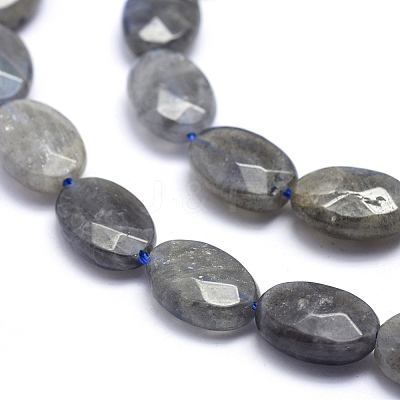 Natural Labradorite Beads Strands G-K223-62B-1