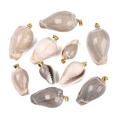 Brass & Natural Oliva Shell Pendants SHEL-Q029-22KCG-1