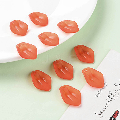 Transparent Frosted Acrylic Pendants MACR-S371-03A-726-1