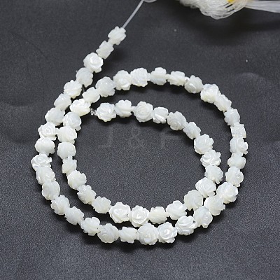 Natural White Shell Beads Strands SSHEL-P015-01A-12mm-1
