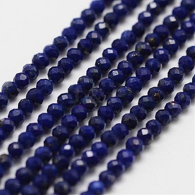Natural Lapis Lazuli Bead Strands G-P270-2mm-19-1