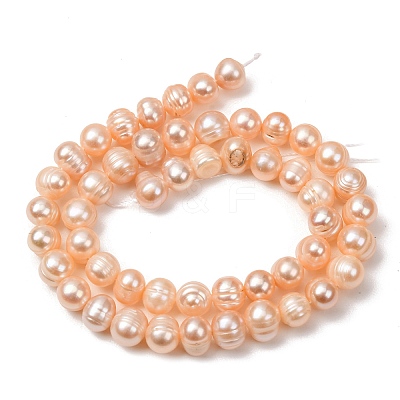 Natural Cultured Freshwater Pearl Beads Strands PA-CBABE82-16-1