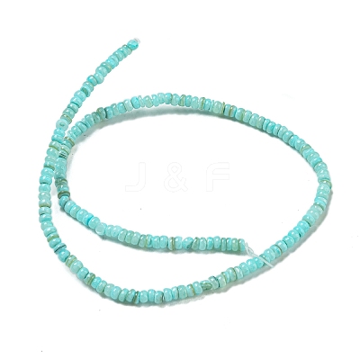 Dyed Natural Freshwater Shell Beads Strands X1-BSHE-G039-07C-1