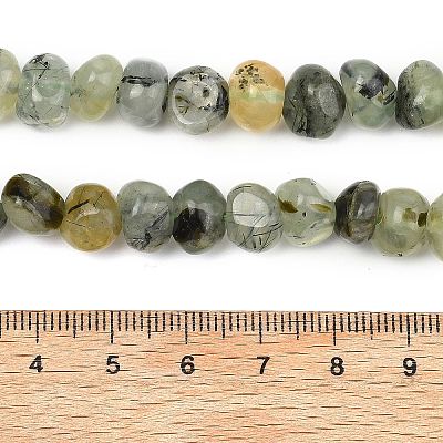 Natural Prehnite Beads Strands G-P617-B01-01-1