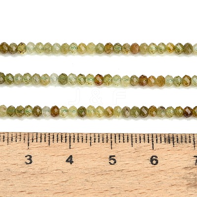 Natural Green Garnet Beads Strands GG-CBA77FB-C01-01-1