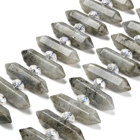 Natural Labradorite Double Terminated Point Beads Strands G-H069-B04-01-1