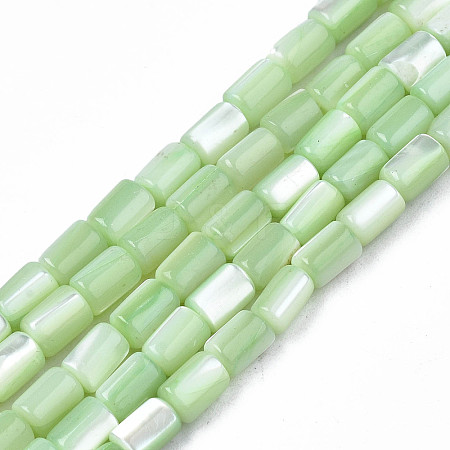 Natural Trochid Shell/Trochus Shell Beads Strands X-SHEL-N003-26-B08-1