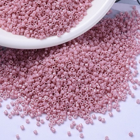 MIYUKI Delica Beads X-SEED-J020-DB1906-1