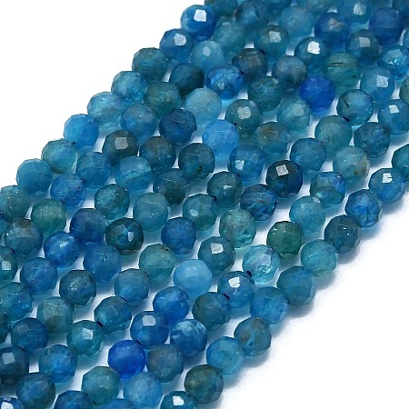 Natural Apatite Beads Strands G-G106-C06-02-1