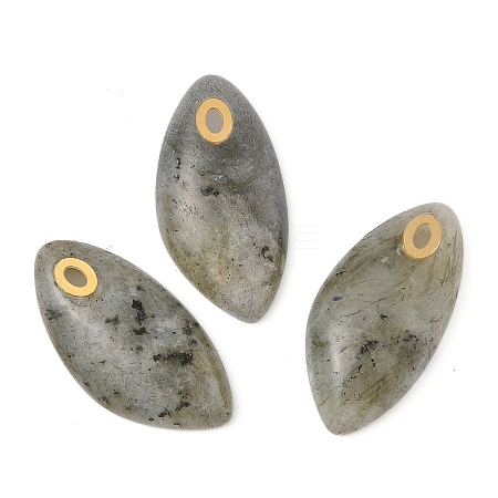 Natural Labradorite Pendants STAS-P380-80G-03-1