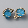 Resin Imitation Cat Eye Pendants KK-WH0045-78B-02-2