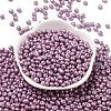6/0 Glass Seed Beads SEED-L011-08A-29-2