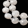 Natural Rainbow Moonstone Beads Strands G-B094-A06-02-4