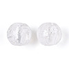 Transparent Acrylic and Glitter Powder Beads TACR-T028-66B-3