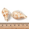 Natural Conch Shell Copper Wire Wrapped Pendants PALLOY-TA00200-3