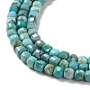 Natural HuBei Turquoise Beads Strands G-P514-B07-02-4