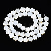 Natural Freshwater Shell Beads Strands SHEL-S278-078A-01-2