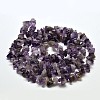 Chip Natural Amethyst Beads Strands X-G-N0134-19-3
