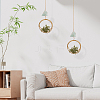 2Pcs Iron Plant Hanger HJEW-OC00164-5