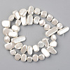 Spray Painted Natural Freshwater Shell Beads Strands SHEL-S276-89D-2