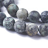 Natural African Turquoise(Jasper) Beads Strands G-D809-01-4mm-3