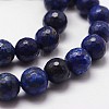 Natural Lapis Lazuli Beads Strands G-G736-22-8mm-3