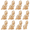 12Pcs Brass Pendants KK-BC0014-93-1
