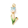 Brass with Enamel Pendants KK-CBA2F11-06G-03-1
