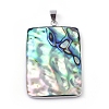 Abalone Shell/Paua Shell Pendants SSHEL-L008-81P-1