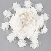 Polyester Chiffon Lace Trim OCOR-WH0007-02-1