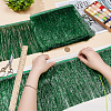 Polyester Lace Trim SRIB-WH0011-446B-3