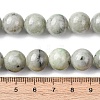Natural Chinese Jade Southern Jade Beads Strands G-H343-D08-12mm-5