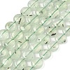 Natural Prehnite Beads Strands G-F790-H03-03-2