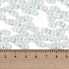 Opaque Colours Luster Glass Seed Beads SEED-P008-01C-04-4