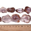 Natural Purple Phantom Quartz/Purple Lodolite Quartz Slice Beads Strands G-N362-11A-01-5
