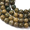 Natural Green Dragon Veins Beads Strands G-D098-A01-10mm-4