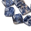 Natural Blue Spot Jasper Beads Strands G-L239-17-4