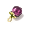 Alloy Enamel Pendants AL-CBA24A7-01G-03-2
